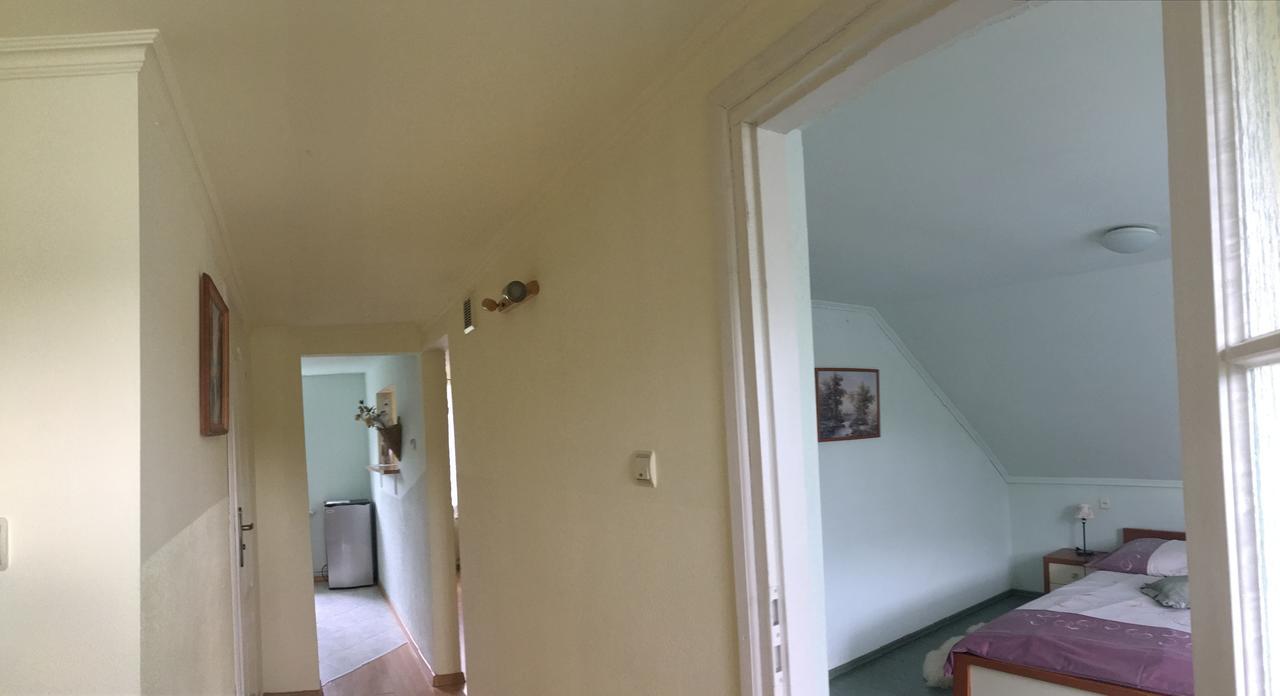 Apartament U Zosi Kroscienko Exterior foto
